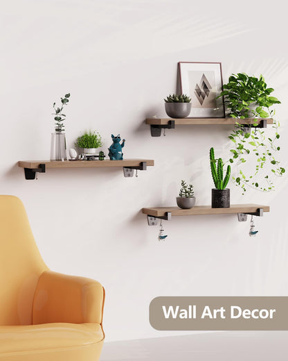 MOUNT PRO Metal Mounting Brackets, Shelf Bracket with Detachable Hooks